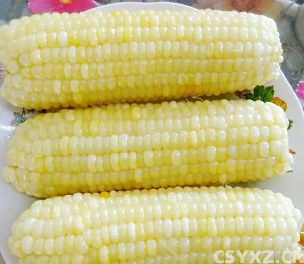 用清水煮玉米，那就大错特错了！只要多加这三种，玉米香甜软糯！
