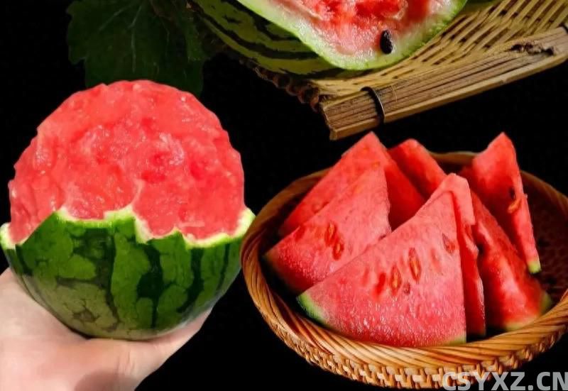 看瓜挑瓜，甜不甜，关键这5个技巧，学会再也不吃&lsquo;生瓜蛋子&rsquo;了