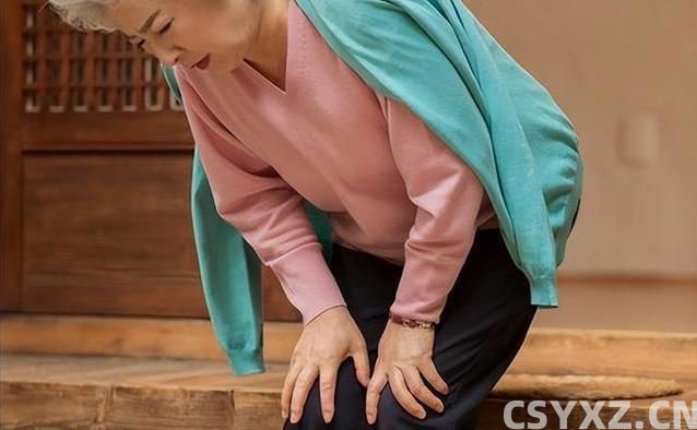 老人吃得太清淡身体会垮？5种高蛋白食物，吃了更长寿