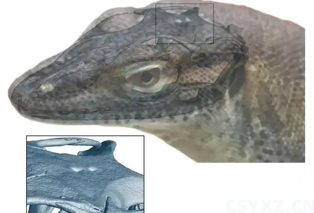 当把手指靠近眉心时，会产生一种奇怪的感觉，这是为什么呢？