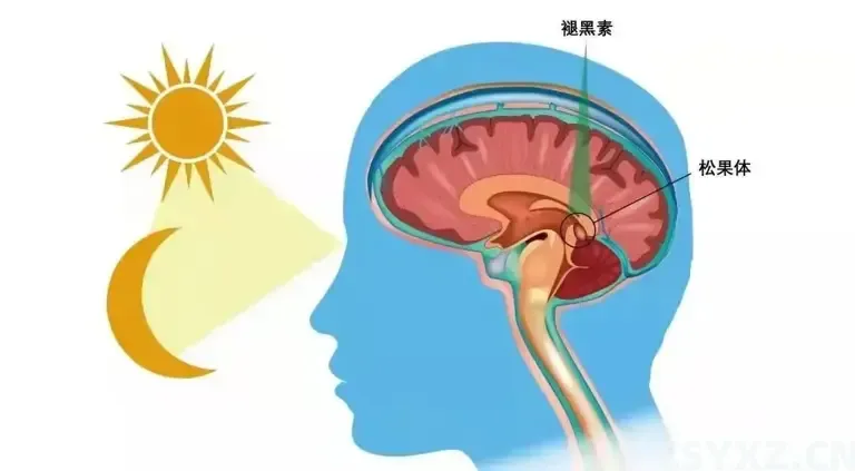 当把手指靠近眉心时，会产生一种奇怪的感觉，这是为什么呢？